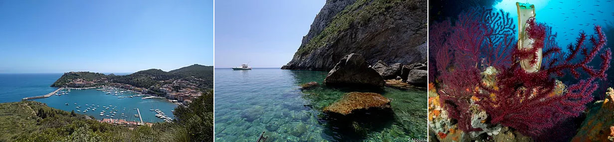 Full Day Argentario, isola di Giannutri e Giglio
