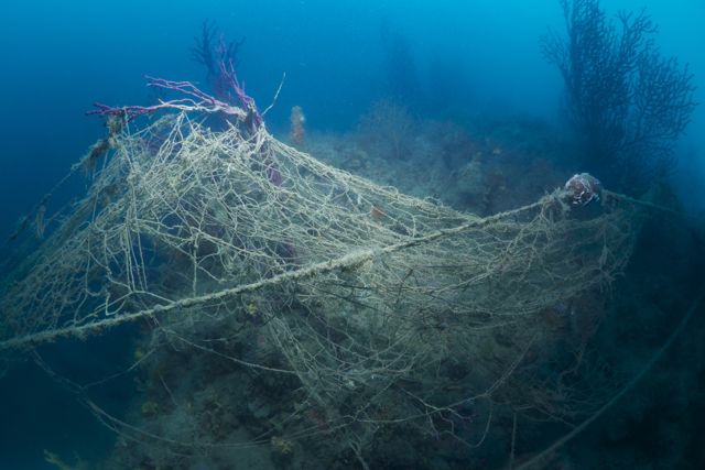 Reti fantasma: un problema che unisce pescatori e subacquei