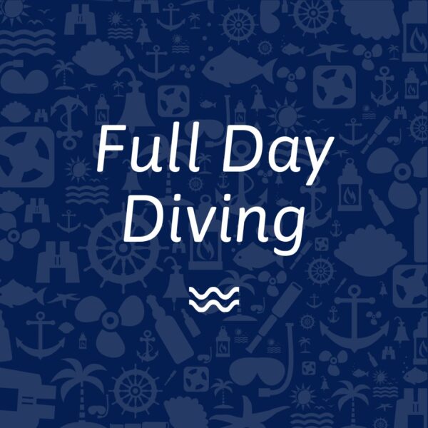 full day diving
