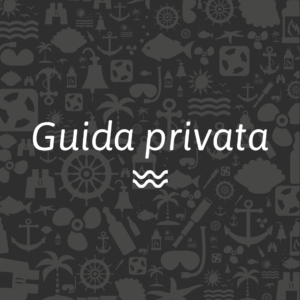 Guida privata