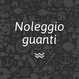 Noleggio guanti
