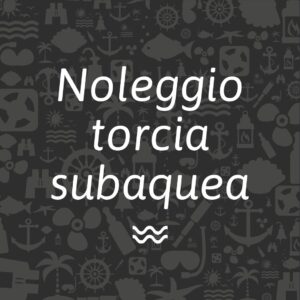 noleggio torcia