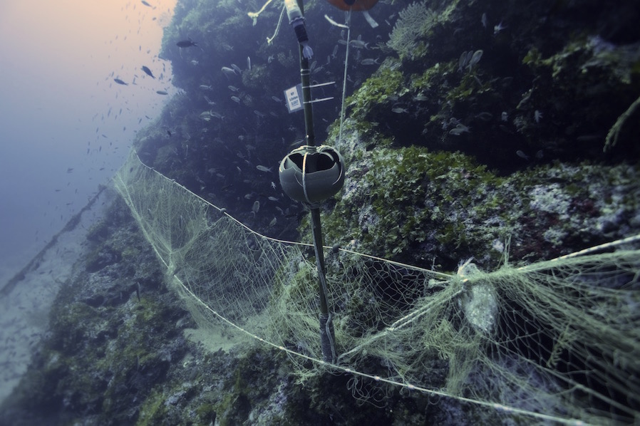 Reti fantasma: un problema che unisce pescatori e subacquei