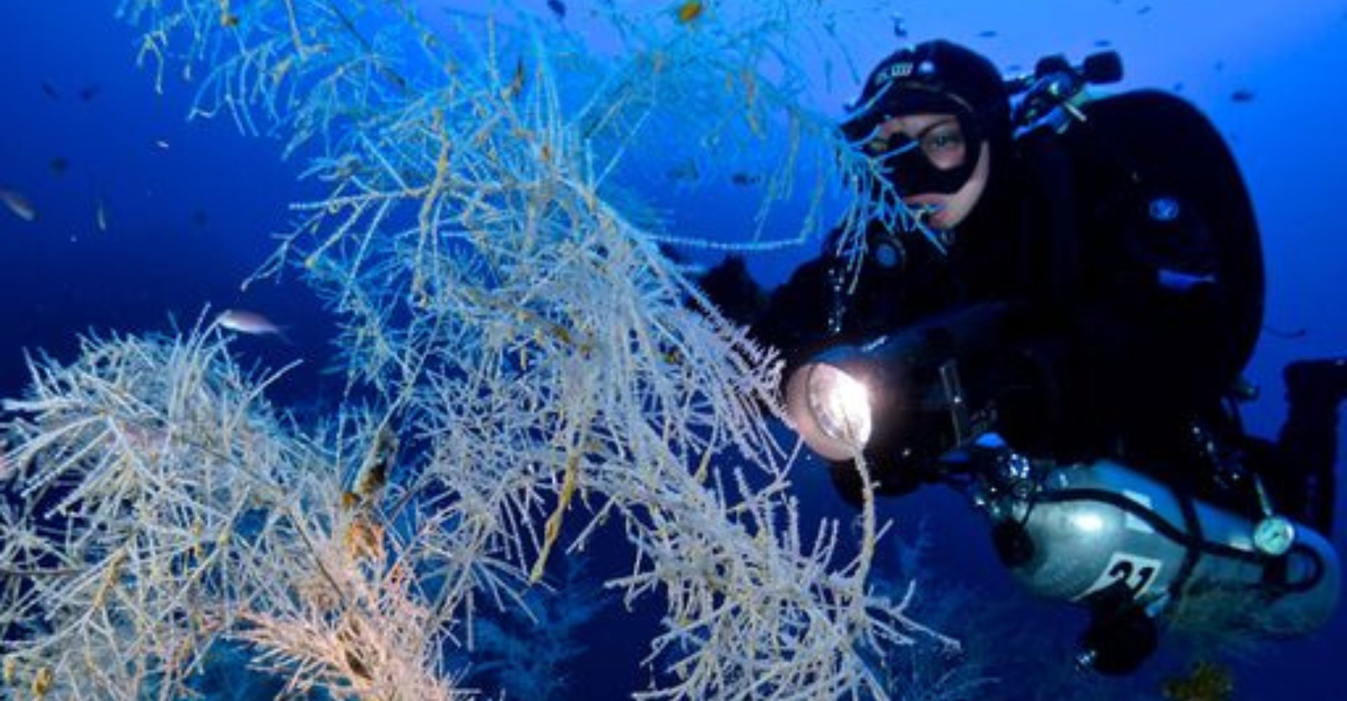 immersioni subacquee in toscana