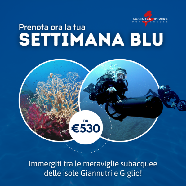 settimana blu