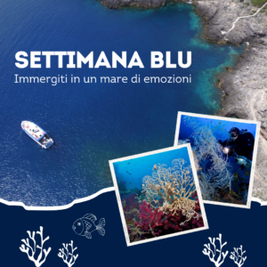 settimana blu