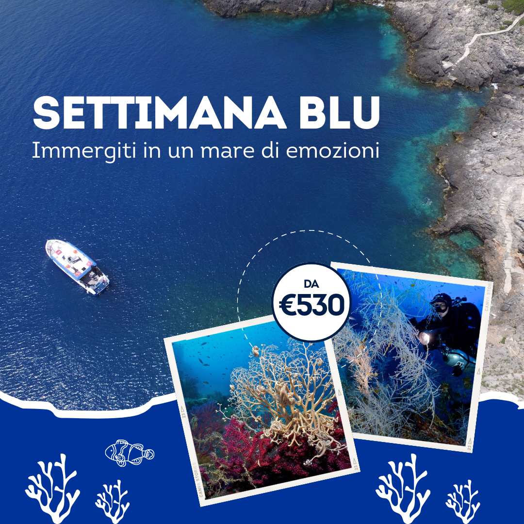 settimana blu