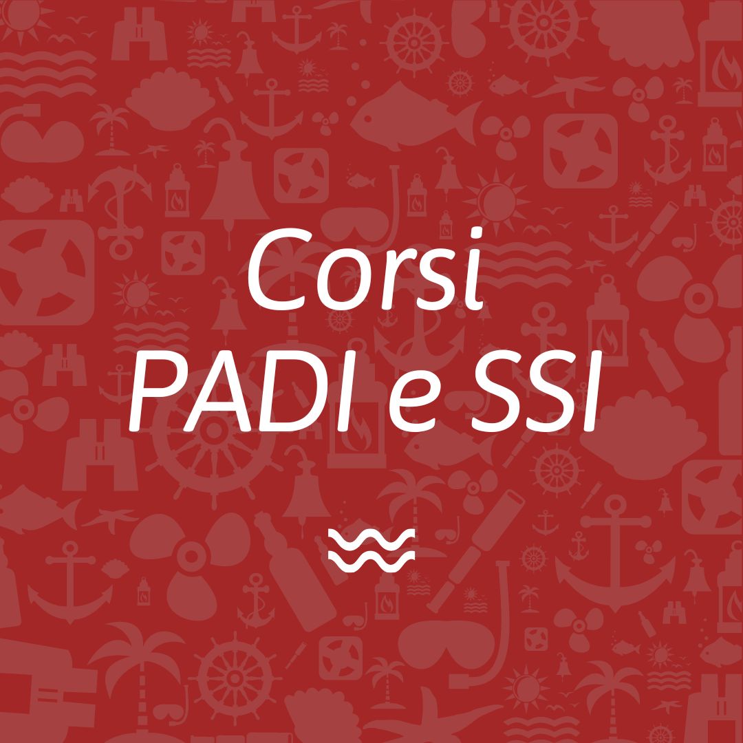 corsi padi e ssi