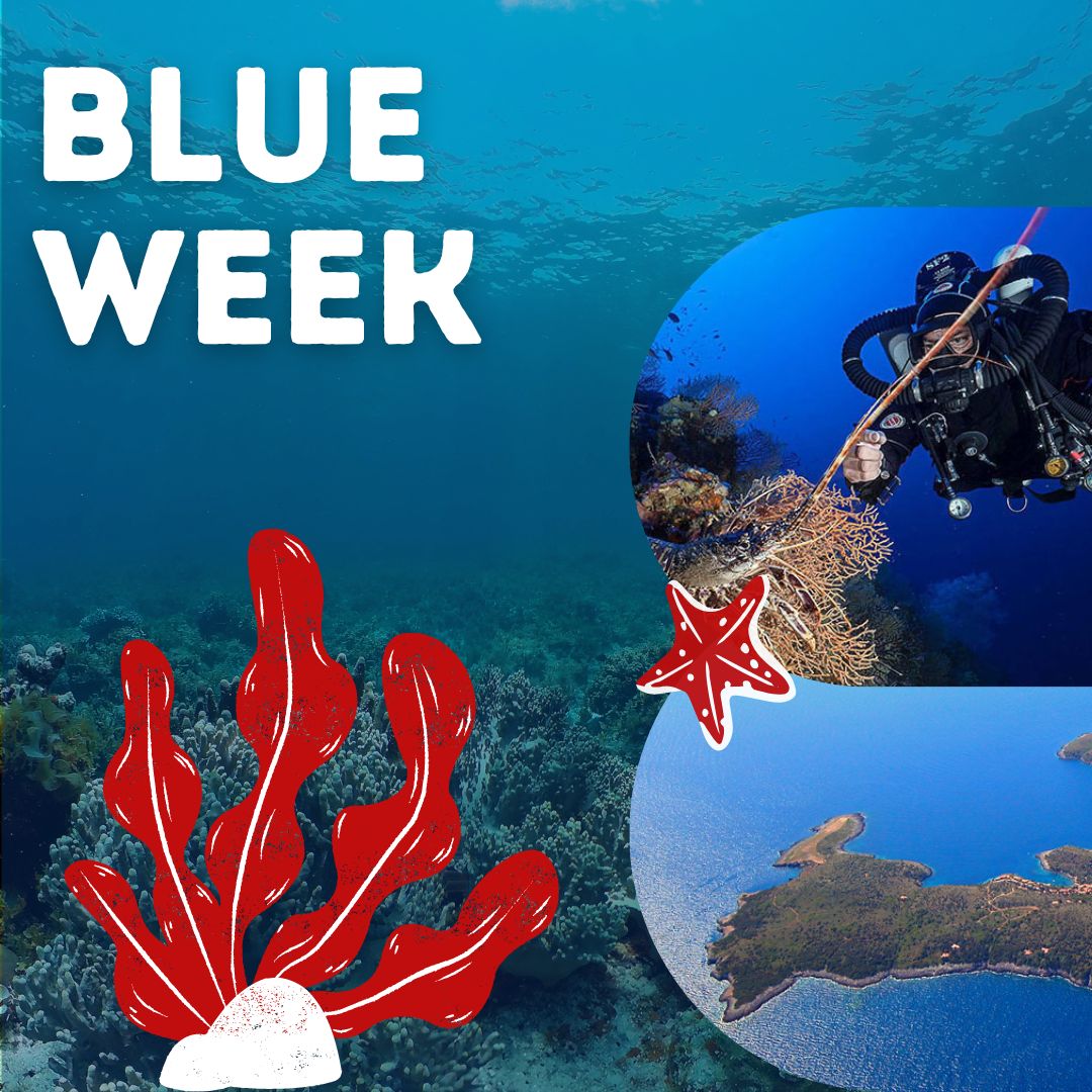 Blue Week Argentario Divers