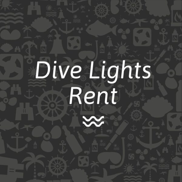 Diving Lights Rent