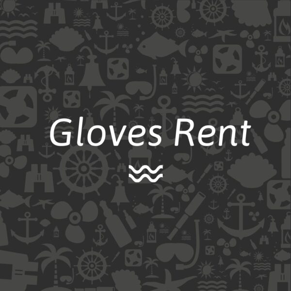 Gloves Rent