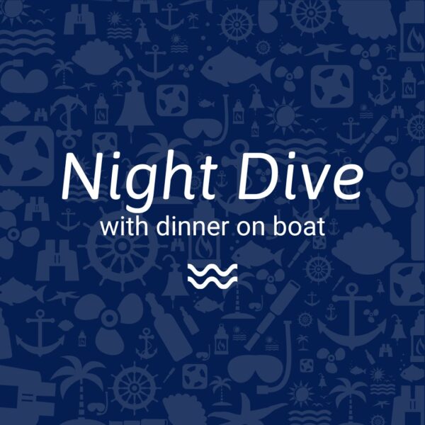 Night dive with dinner on boat