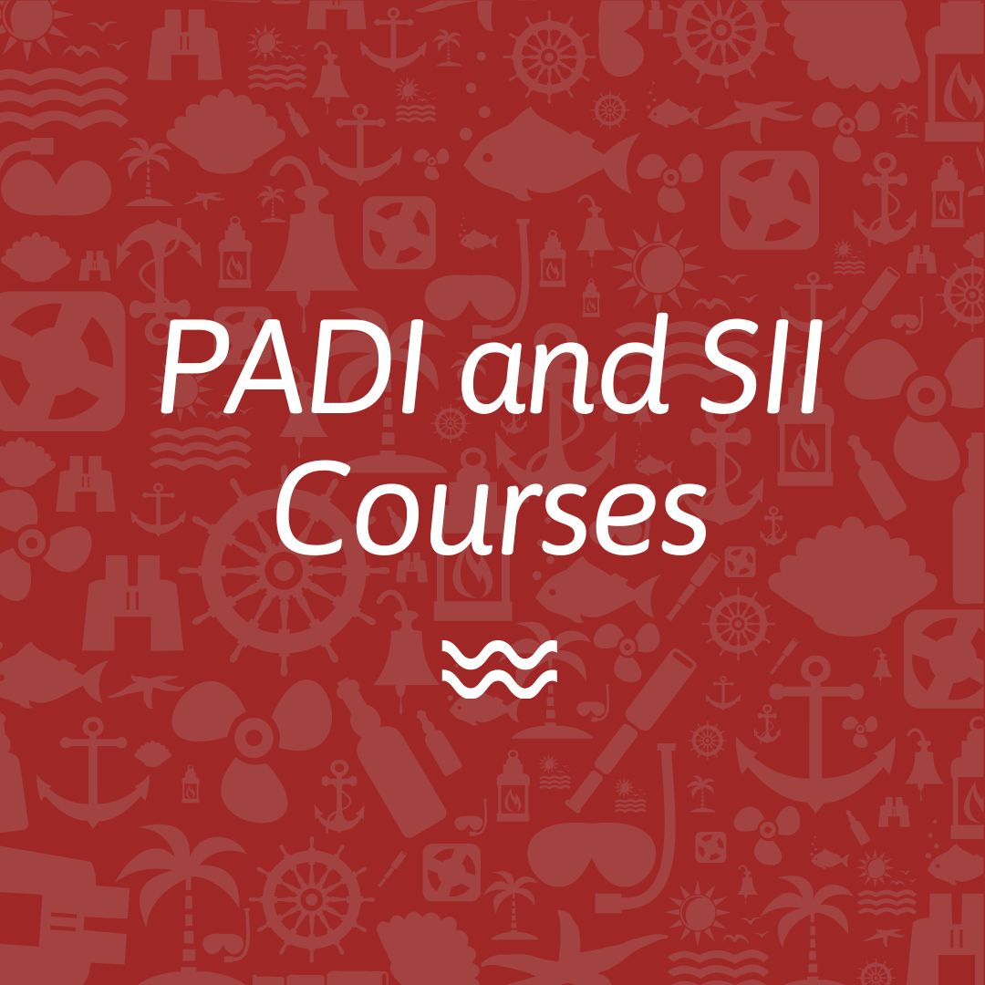 PADI and SII Courses
