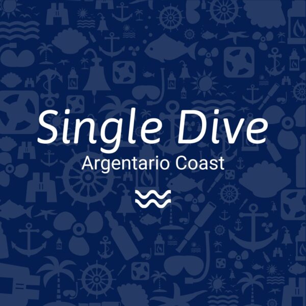 Single Dive