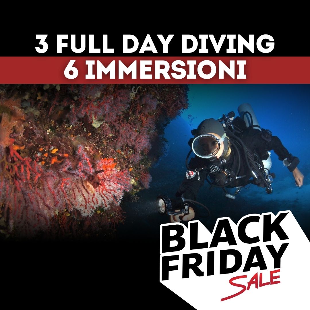 Black Friday Full Day Diving - 3 giorni