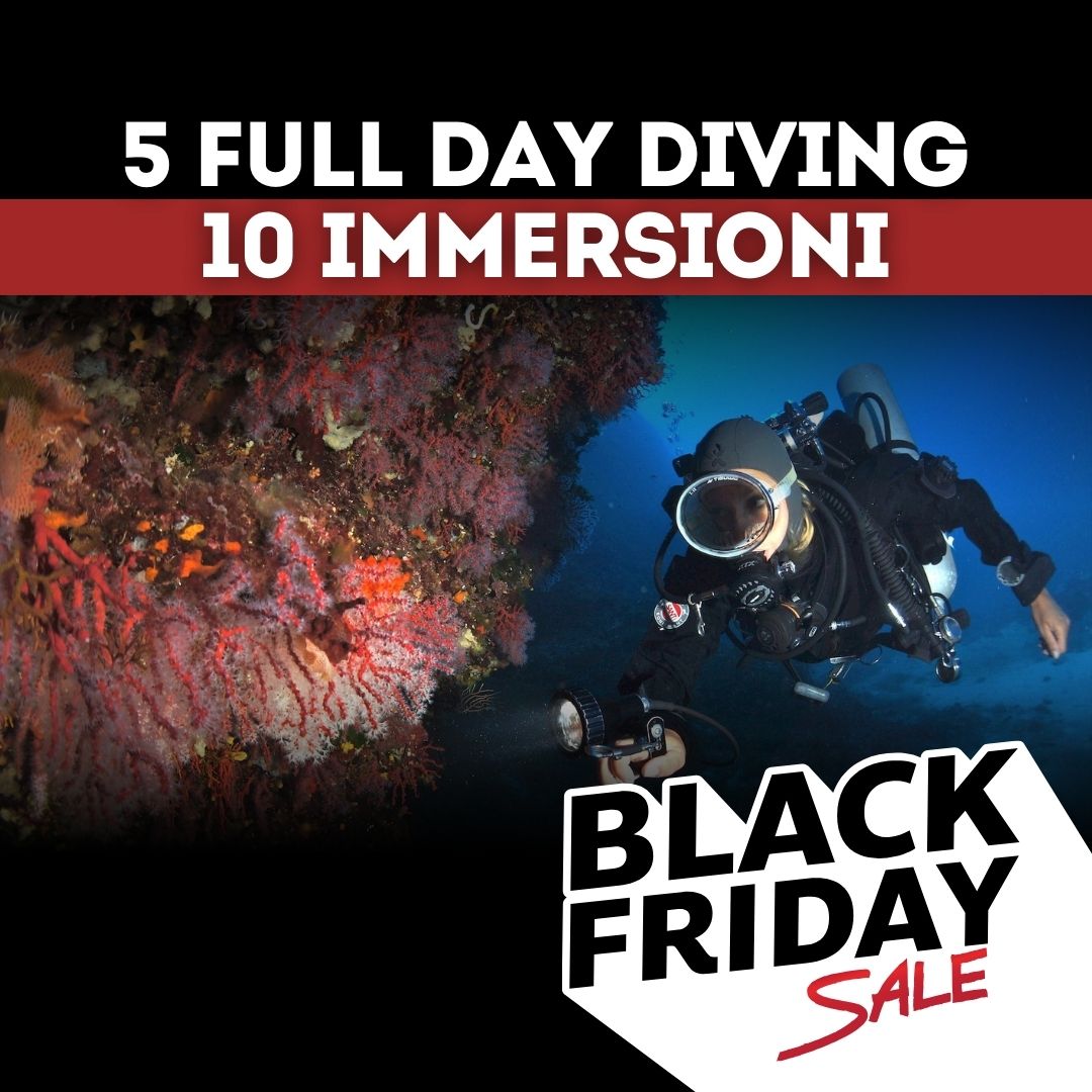 Black Friday Full Day Diving - 5 giorni