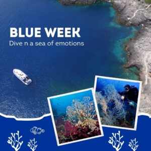 settimana blu