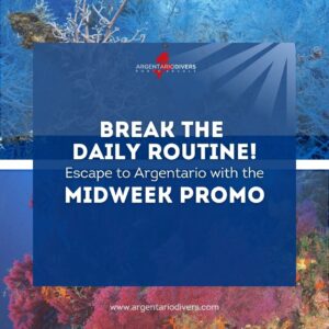 Midweek Promo