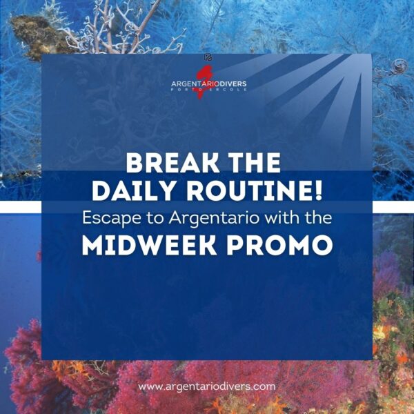 Midweek Promo