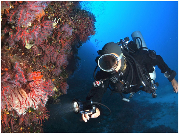 settimana blu immersioni