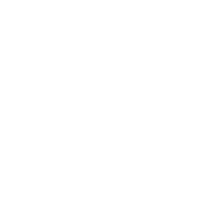 telecamera