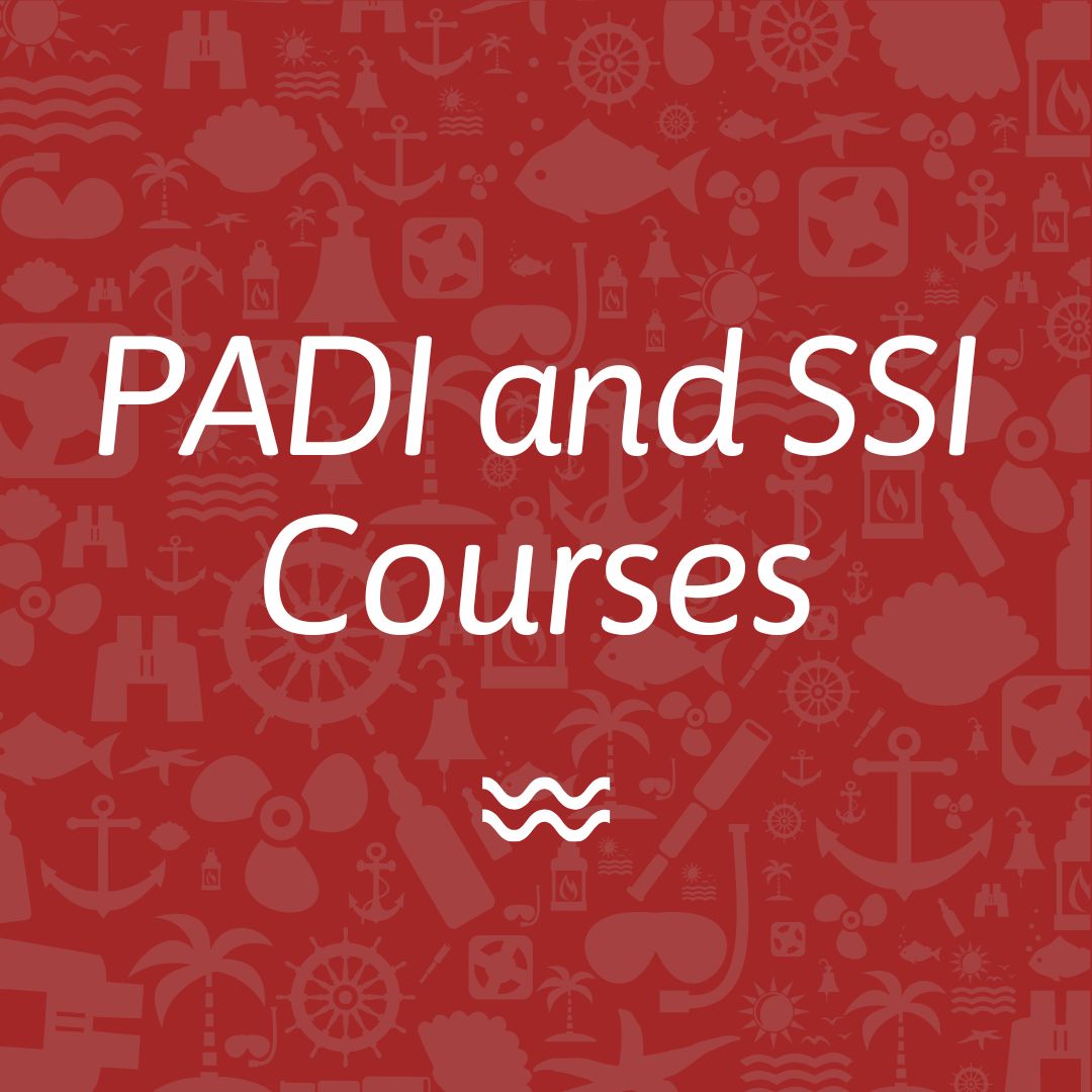 padi and ssi courses